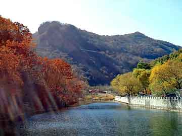 澳门天天彩期期精准平肖，日土网站建设